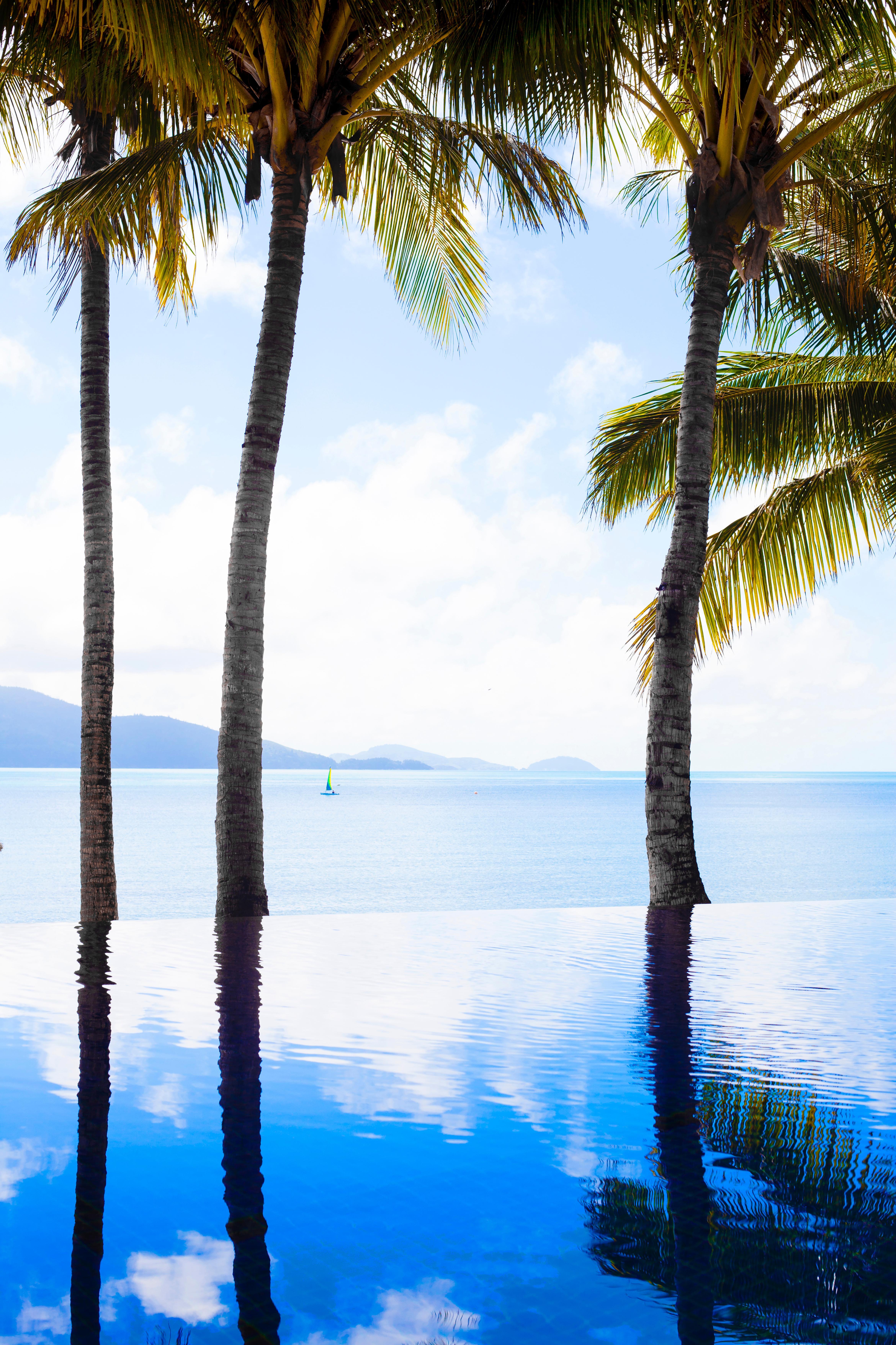 Beach Club (Adults Only) Hamilton Island Esterno foto