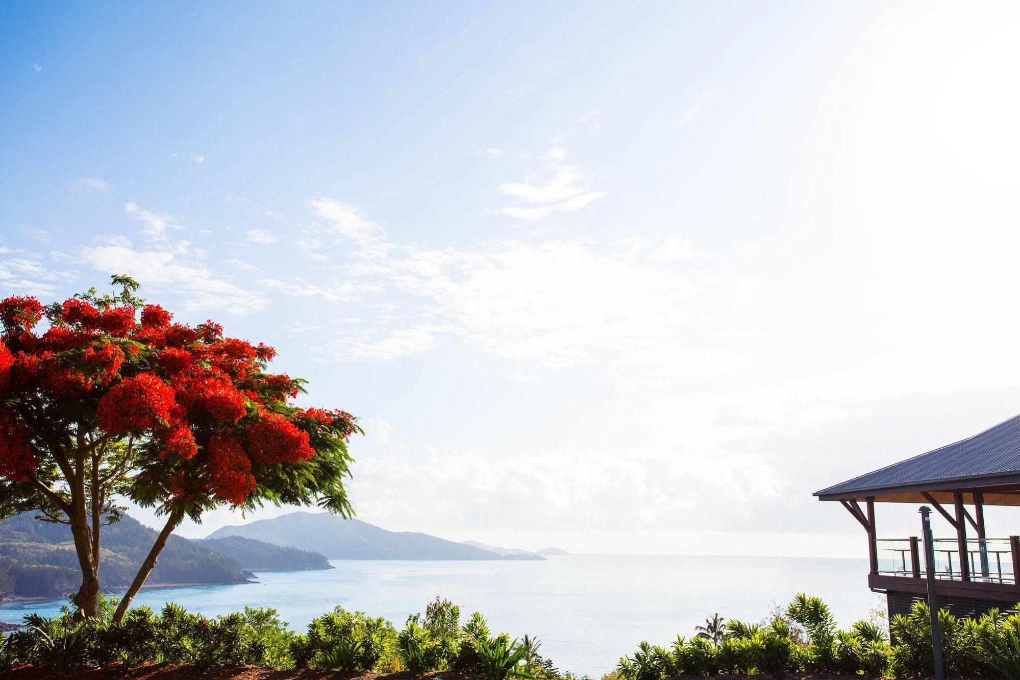 Beach Club (Adults Only) Hamilton Island Esterno foto